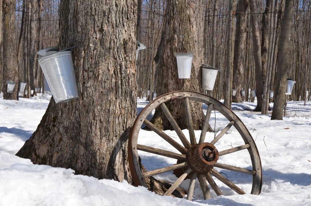 Best sugar shacks West of Montreal