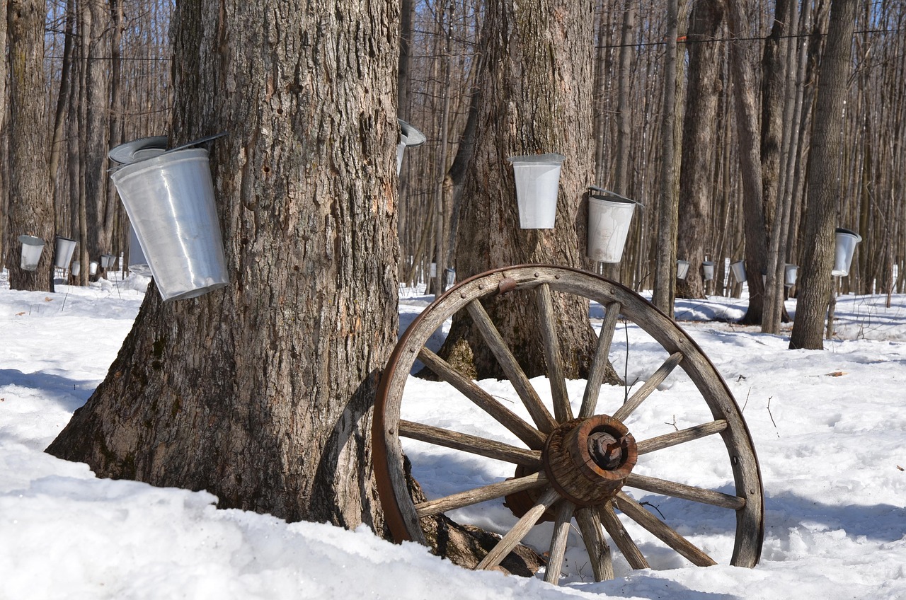Best sugar shacks West of Montreal