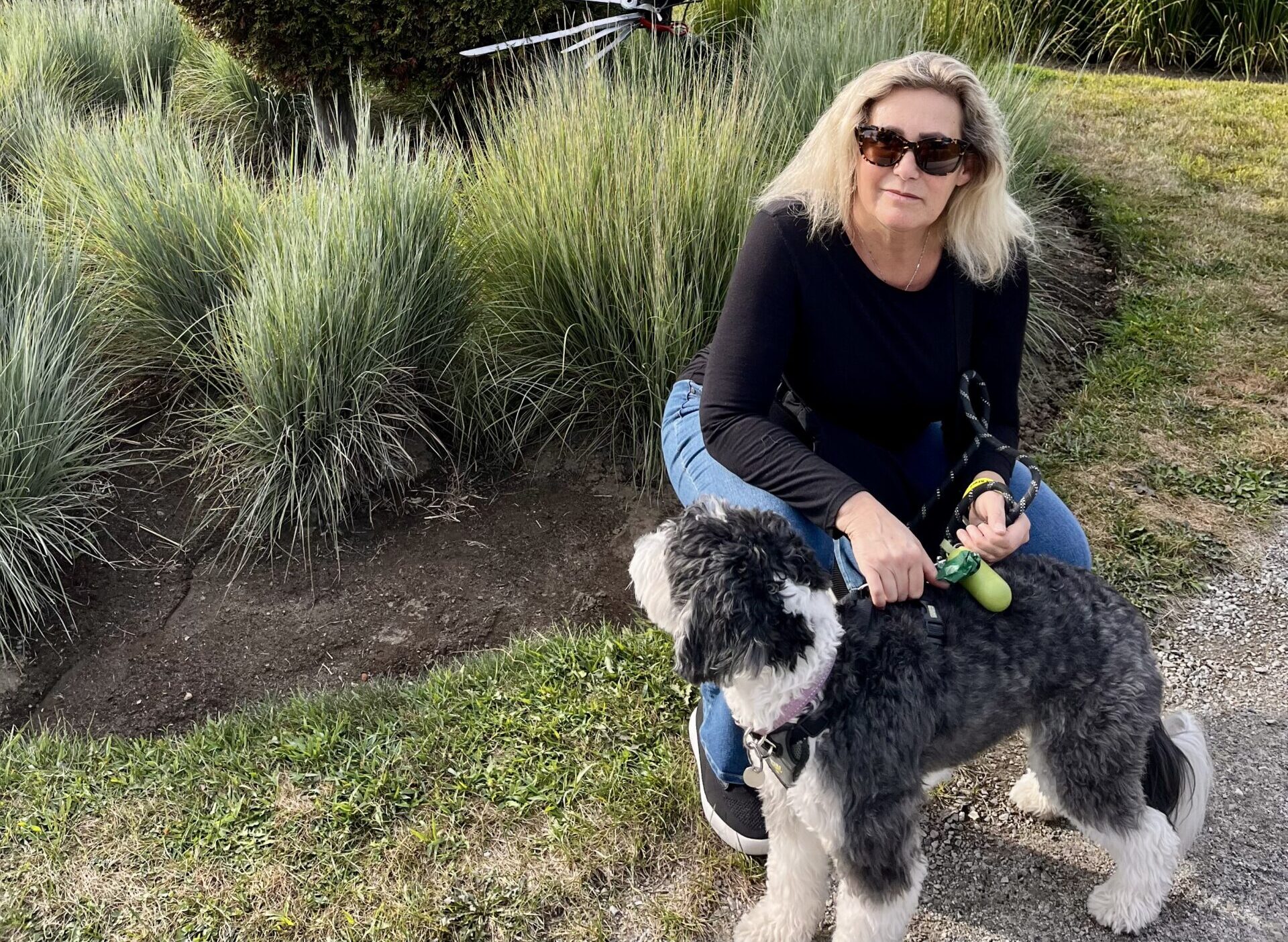 dog-friendly-rentals-west-of-montreal